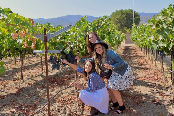 Sonoma Private 6-Hour Wine Adventure: Small-Producer Winery Tour in Sonoma Valley photo 1