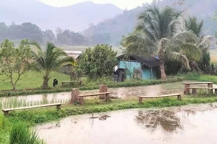 Chiang Mai Half-Day Rice Planting Experience Near Mae Win photo 3