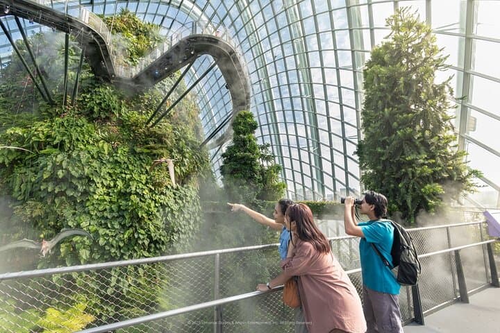 Gardens by the Bay Singapore: Flexible Ticket + Shuttle to Flower Dome & Cloud Forest photo 2
