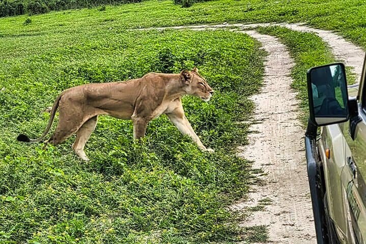 Chobe Express: Half-Day 4x4 Safari to See Africa’s Largest Elephant Herds photo 5