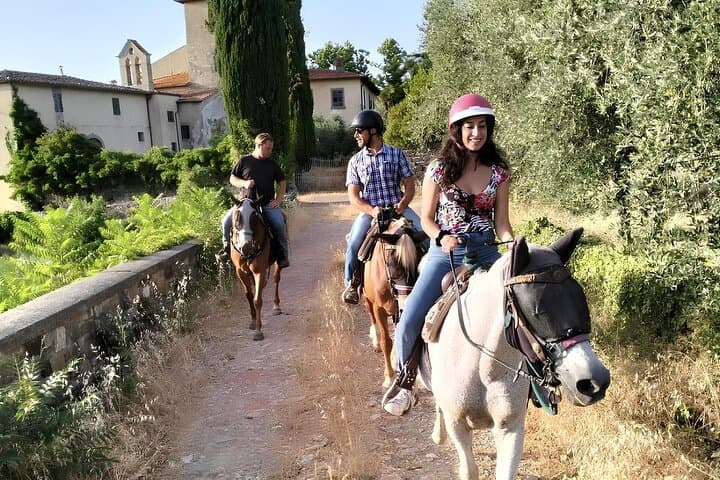 Tuscan Horseback Ride and Wine Tasting near Florence: Ride Through Pelago’s Hills photo 3