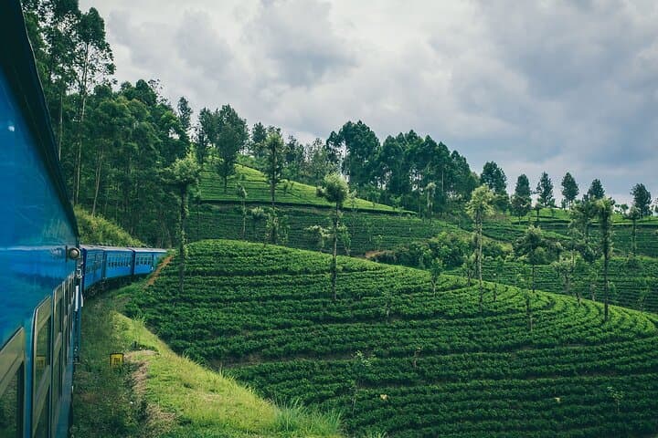 Ella to Kandy First-Class Scenic Train: Highland Rail Journey through Sri Lanka's Tea Country photo 3