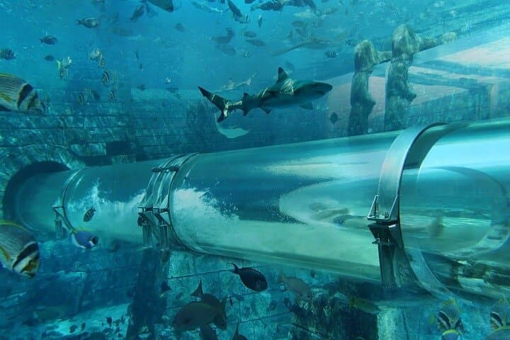 A Day at Aquaventure: Atlantis Palm Dubai Water Adventure Guide photo 4