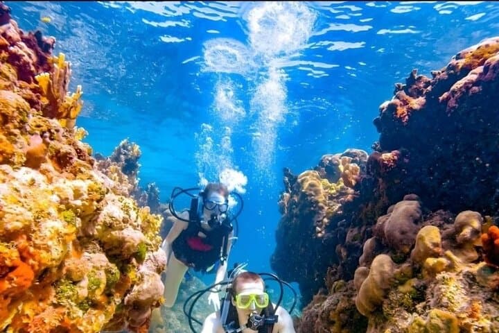 Two-Stop Red Sea Diving: Ras Mohamed & White Island from Sharm El Sheikh photo 6