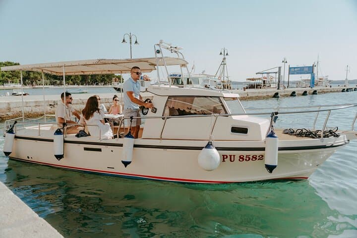 Pula Dolphin & Sunset Boat Tour — Brijuni Cruise from Pula Harbor photo 4