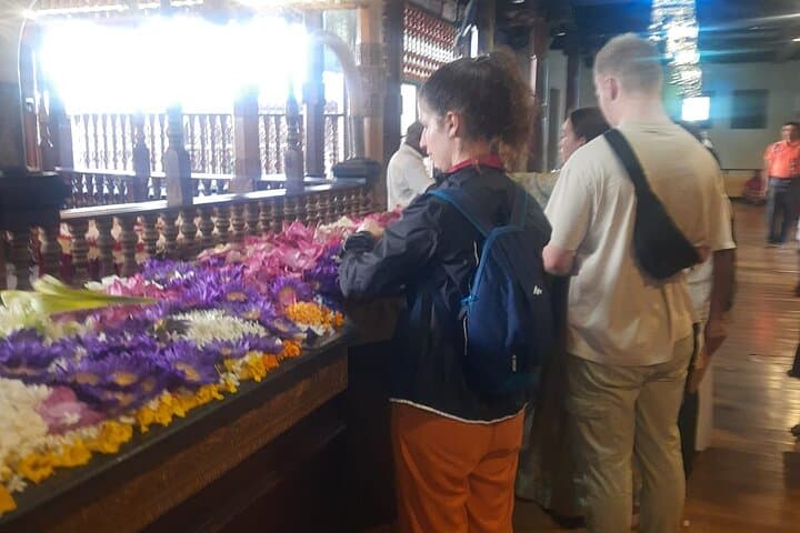 Kandy Full-Day Tour from Colombo and Negombo: Temple, Tea & Botanical Gardens photo 6
