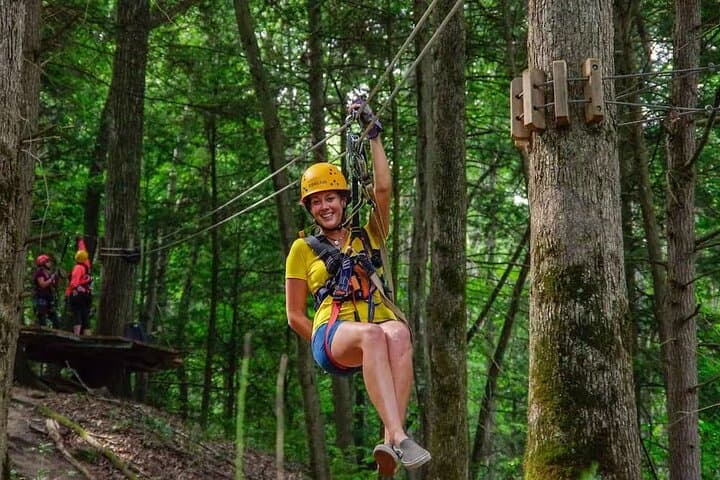 Tree Tops Zip Line Canopy Tour — New River Gorge Hemlock Forest Zip & Rappel photo 5