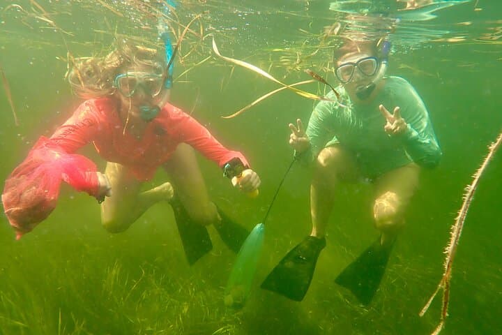 Scalloping in Crystal River: Premier Nature Coast Charter Experience photo 5