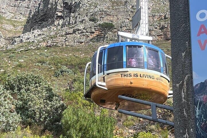 Half-Day Table Mountain Cable Car Tour — Cape Town Summit Views & Easy Summit Walks