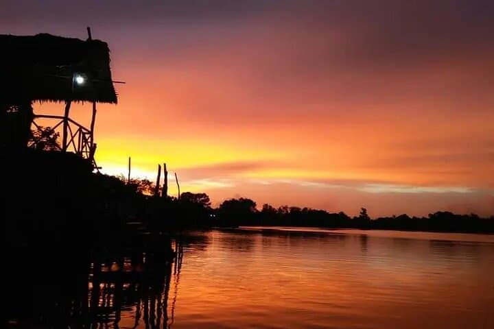 Bintan Mangrove & Fireflies Tour — Sebung River Eco Adventure photo 6