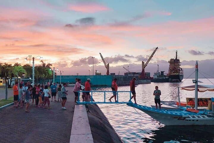 Moonlit Mangroves: Puerto Princesa Firefly Bay Cruise with Dinner