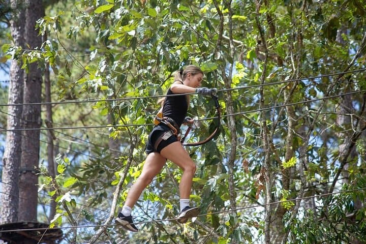 Datanla High Rope Course: Zipline, Cliff Jump & Pine-Forest Adventure Near Da Lat