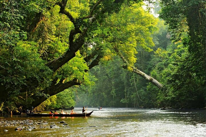 Taman Negara Day Trip from Kuala Lumpur: Canopy Walk, Orang Asli Village & Rainforest Wildlife photo 2