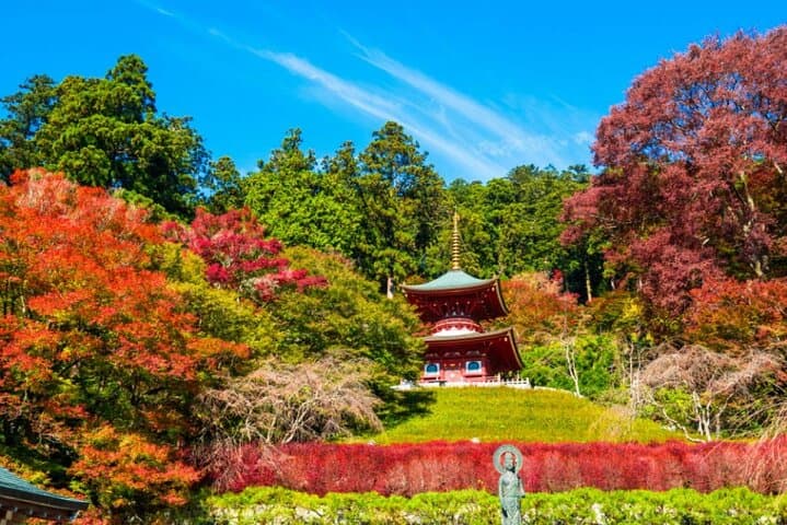 Osaka to Nara: Minoo Falls, Arashiyama Bamboo Grove & Todai-ji Full-Day Tour photo 4