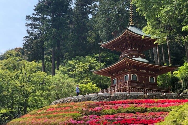 Osaka to Nara: Minoo Falls, Arashiyama Bamboo Grove & Todai-ji Full-Day Tour photo 6