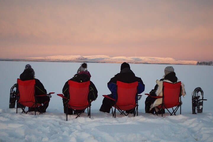 Rovaniemi Snowshoe Tour: Guided Forest Walk with Open-Fire Picnic