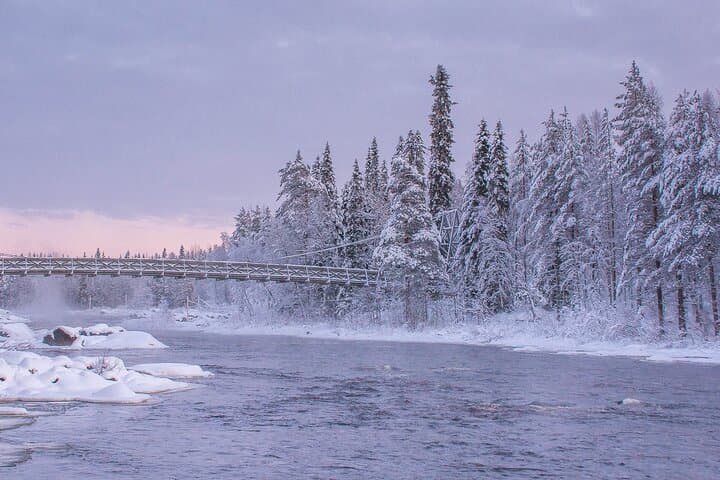 Rovaniemi Snowshoe Tour: Guided Forest Walk with Open-Fire Picnic photo 4