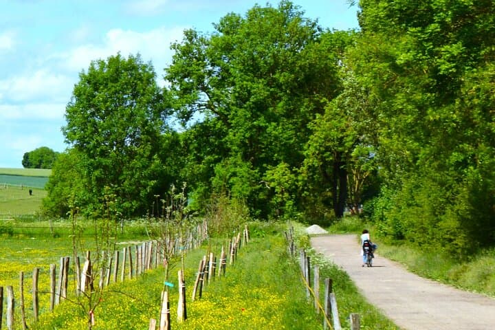 Mountain Biking the Valley of Château de Versailles — Forestière & Champêtre Routes