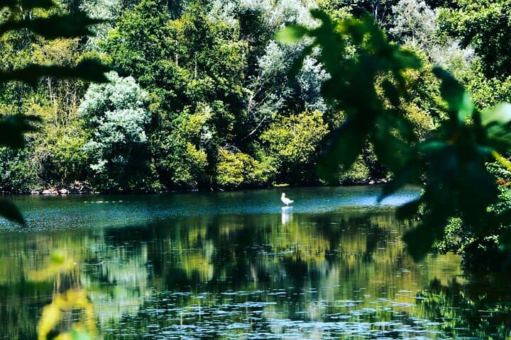Mountain Biking the Valley of Château de Versailles — Forestière & Champêtre Routes photo 3