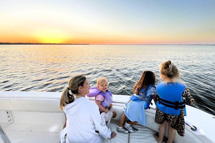 Dolphin Cruise on Choctawhatchee Bay from Santa Rosa Beach photo 3