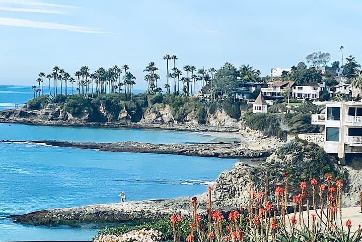 Orange County Beaches: Laguna & Newport Private Tour with Hotel Package