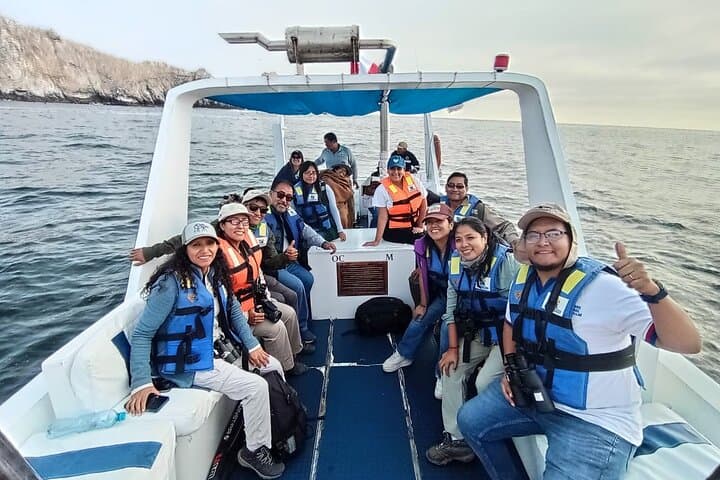 Swim with Sea Lions at Palomino Islands: Lima Yacht Wildlife Tour photo 5