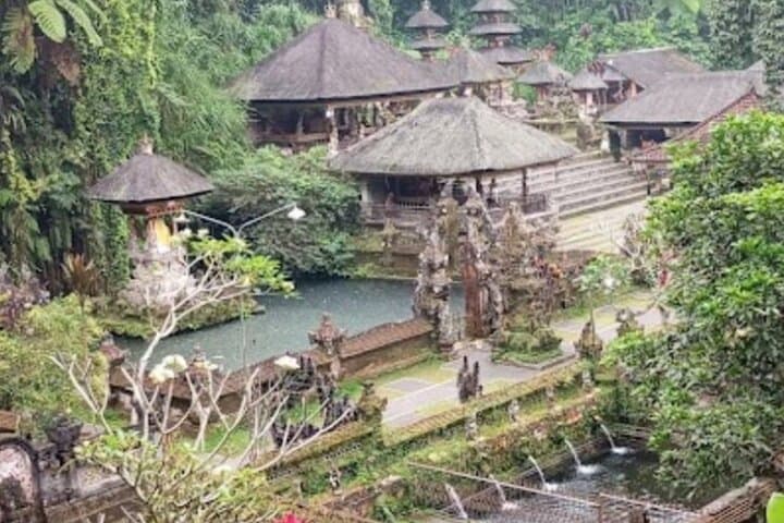 Ubud Full-Day: Waterfalls, Rice Terraces, Monkey Forest & Holy Water Temple