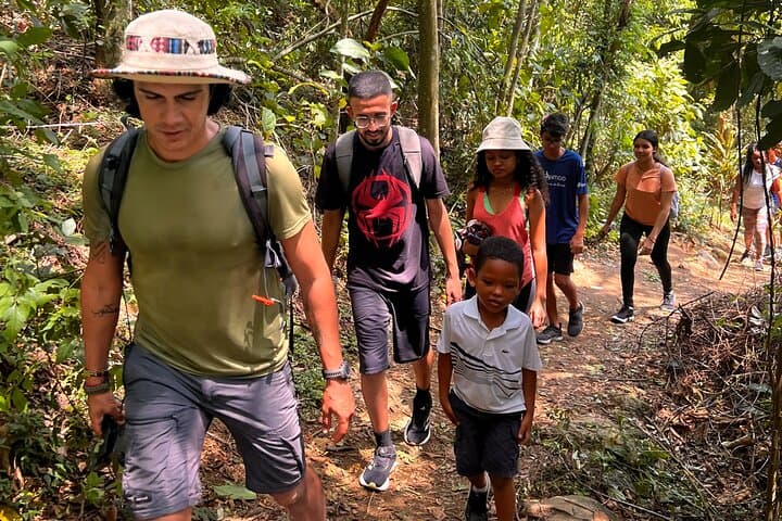 Hike to Pedra Bonita: Easy Trail & Panoramic Views in Tijuca Forest photo 4