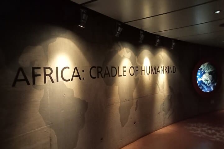 Cradle of Humankind & Apartheid Museum Day Tour from Johannesburg
