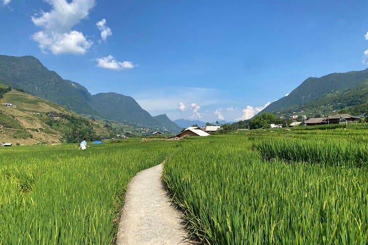Private Sapa Trek: Y Linh Ho, Lao Chai & Ta Van in the Muong Hoa Valley photo 4