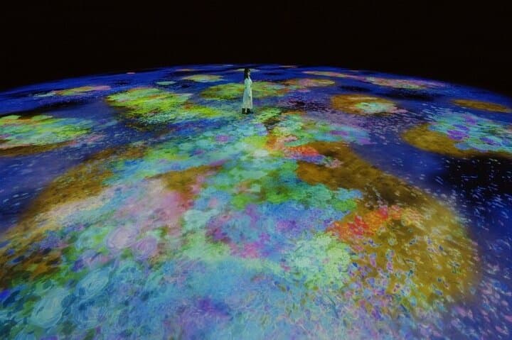 teamLab Phenomena Abu Dhabi: Immersive Digital Art Experience with Private Transfers photo 5