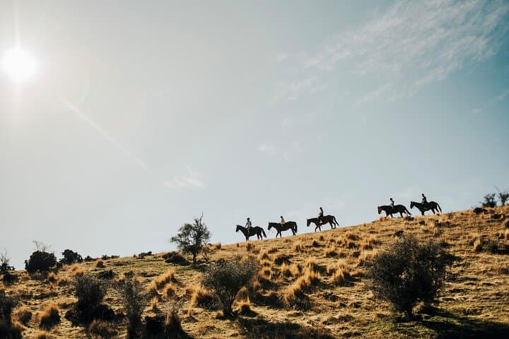 Gold Discovery Horse Trek in Cardrona Valley: 2-Hour Scenic Ride from Wanaka photo 6