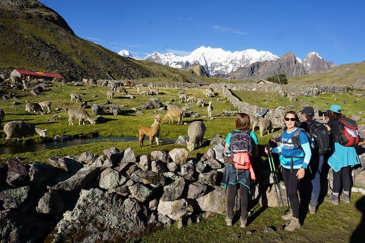 Ausangate 7 Lagoons Day Hike & Pacchanta Hot Springs from Cusco photo 5