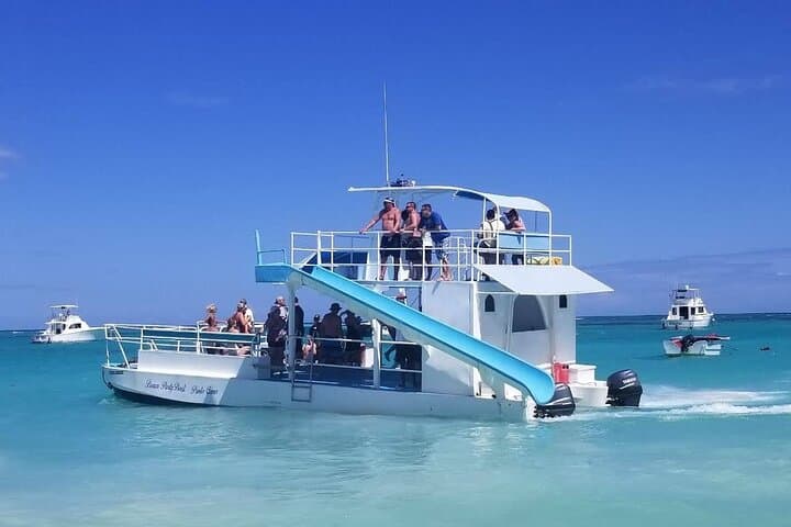 Shared Catamaran Snorkel & Marine Encounter at Playa Bibijagua