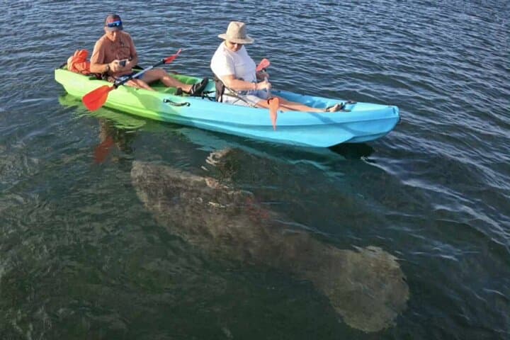 Crystal River Sunset Kayak Tour: Paddle With Manatees in Kings Bay photo 4