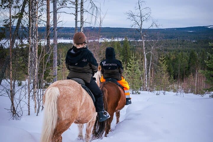 Horseback Ride Through Finnish Forest from Rovaniemi photo 2