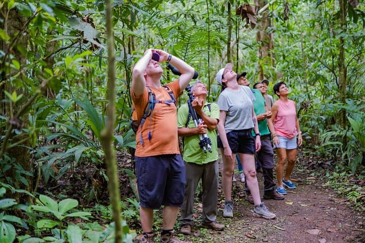 La Fortuna Farm and Monkey Park Guided Combo: Hands-On Harvest to Rainforest Hike photo 5