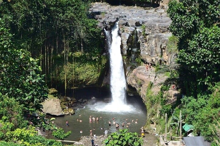 Explore Waterfalls and Ubud Surroundings: Monkey Forest, Tegalalang & Tegenungan Waterfall photo 3
