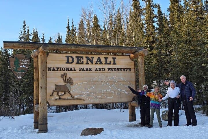 Denali National Park plus Aurora Chase: Day Trip from Fairbanks with Snowshoeing and Aurora Photography