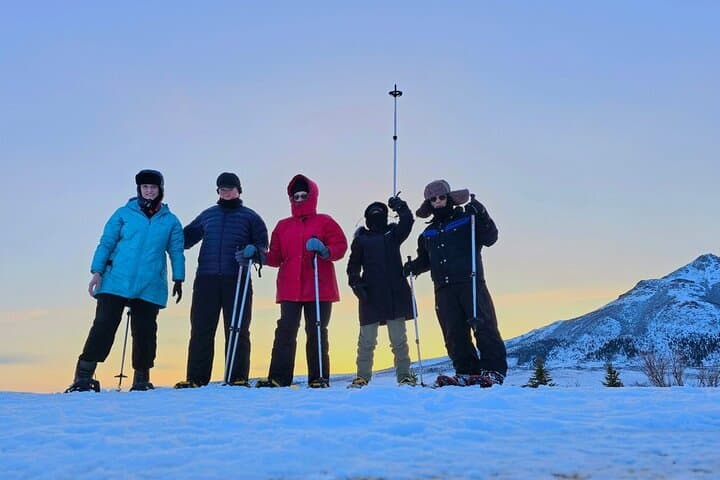 Denali National Park plus Aurora Chase: Day Trip from Fairbanks with Snowshoeing and Aurora Photography photo 2