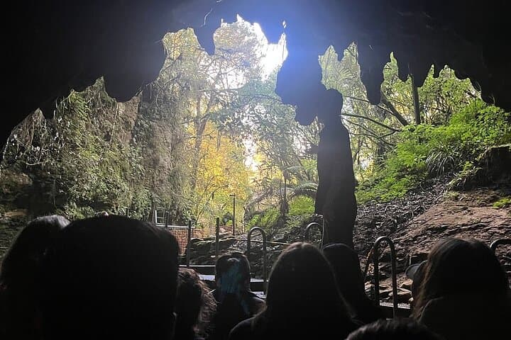 Private Hobbiton & Waitomo Glowworm Caves Day Tour from Auckland photo 5