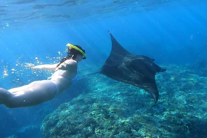 Nusa Penida Snorkeling Adventure — Swim with Manta Rays at Manta Bay, Crystal Bay & Gamat Bay photo 4