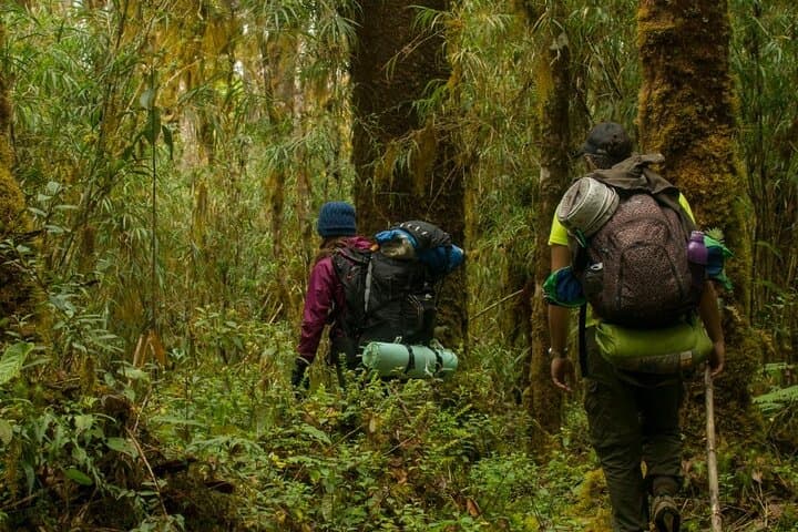 Llanos de Cortés Waterfall and Liberia Day Tour: Hike, Swim & Local Flavors photo 2