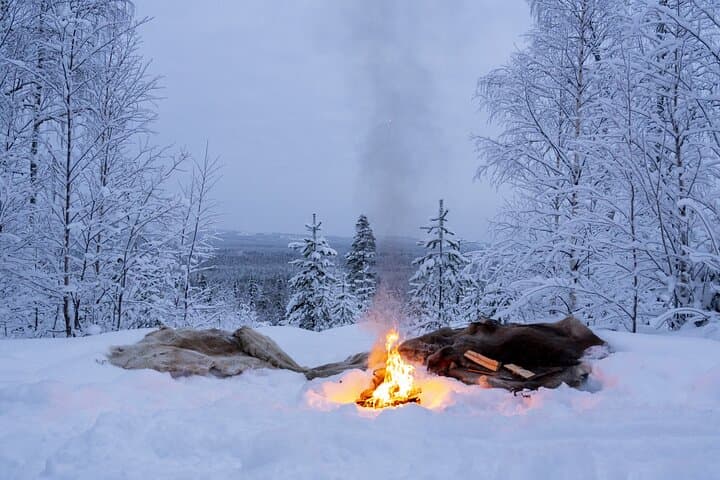 Snowmobile Sleigh Adventure in Authentic Lapland — Family Farm Campfire Experience photo 6