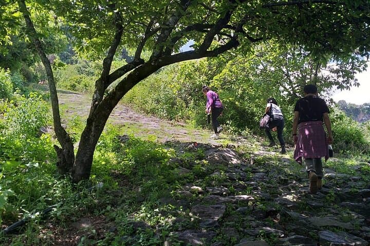 Between Tunnels and Bats: Huasca de Ocampo Evening Bat-Exit Cave Walk photo 4