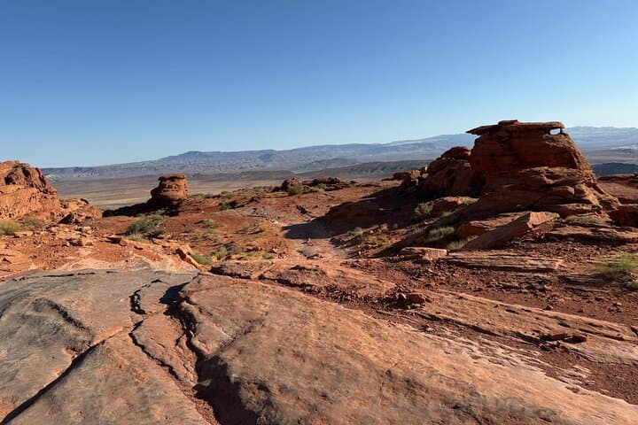 Warner Valley Dinosaur Track 4x4 Jeep Tour from St. George photo 6
