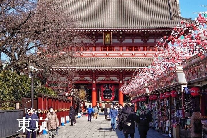 Personalized Travel Support in Japan — Multilingual Planning & In‑Trip Assistance photo 5