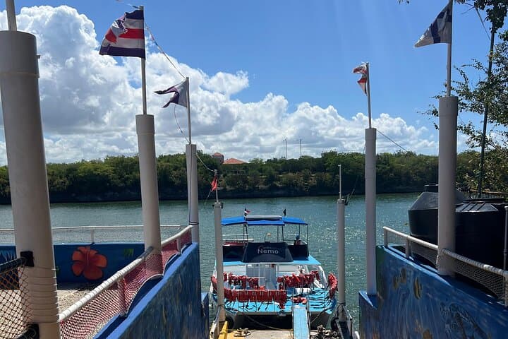 Full-Day Catalina Island Snorkel from Juan Dolio & Boca Chica — The Wall, Beaches & Boat Transfer photo 6