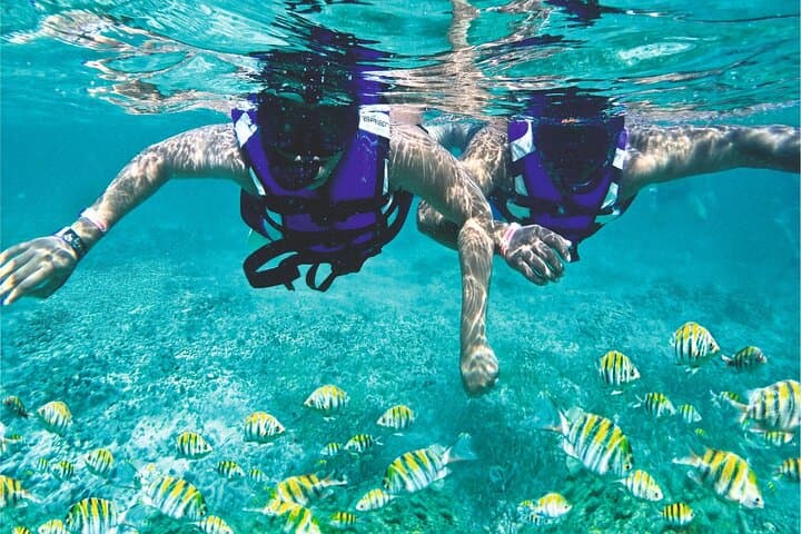 Full-Day Catalina Island Snorkel from Juan Dolio & Boca Chica — The Wall, Beaches & Boat Transfer photo 5