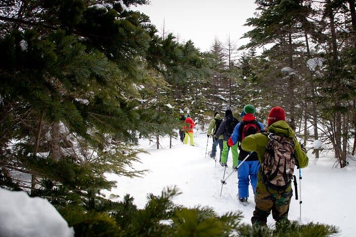 Norikura Frozen Waterfall Snowshoe Tour — Japan Alps Winter Trek photo 6